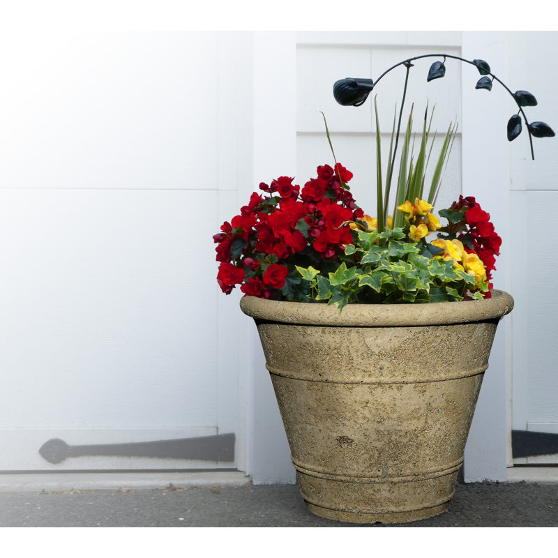 One Allium Way® Ashleigh Volcanic Ash Pot Planter Wayfair